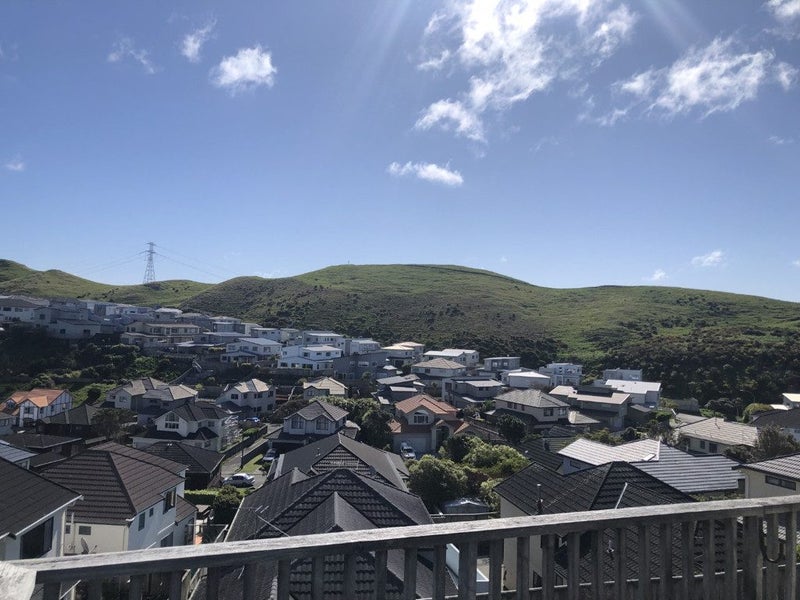 5 Nether Green Crescent, Johnsonville, Wellington - Carousel 16