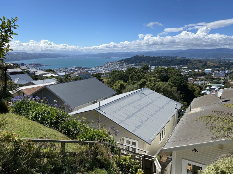 82 Mitchell Street, Brooklyn, Wellington - Carousel 13