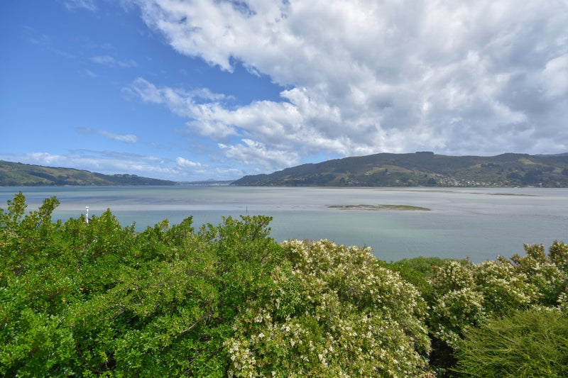 20 Bayne Terrace, Macandrew Bay, Dunedin - Carousel 1