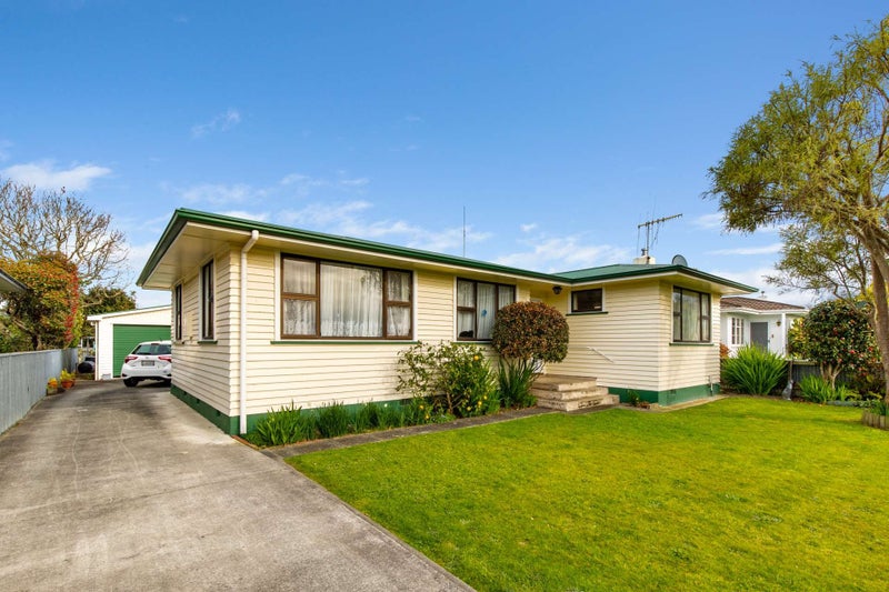 104 Fitzroy Street, Terrace End, Palmerston North - Carousel 1