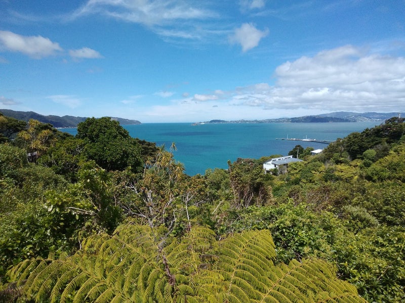 52 Howard Road, Point Howard, Lower Hutt - Carousel 2