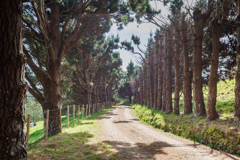 104 Harrison Hill Road, Palmerston North - Carousel 11