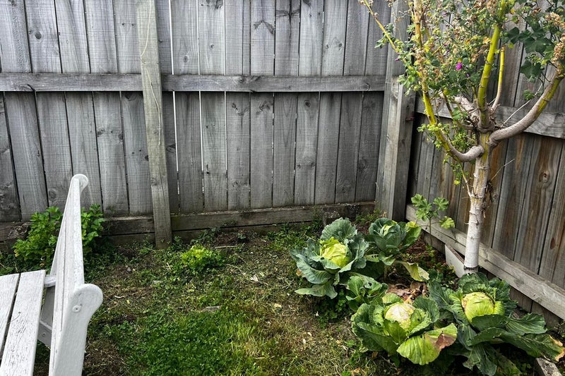 65 David Street, Caversham, Dunedin - Carousel 20