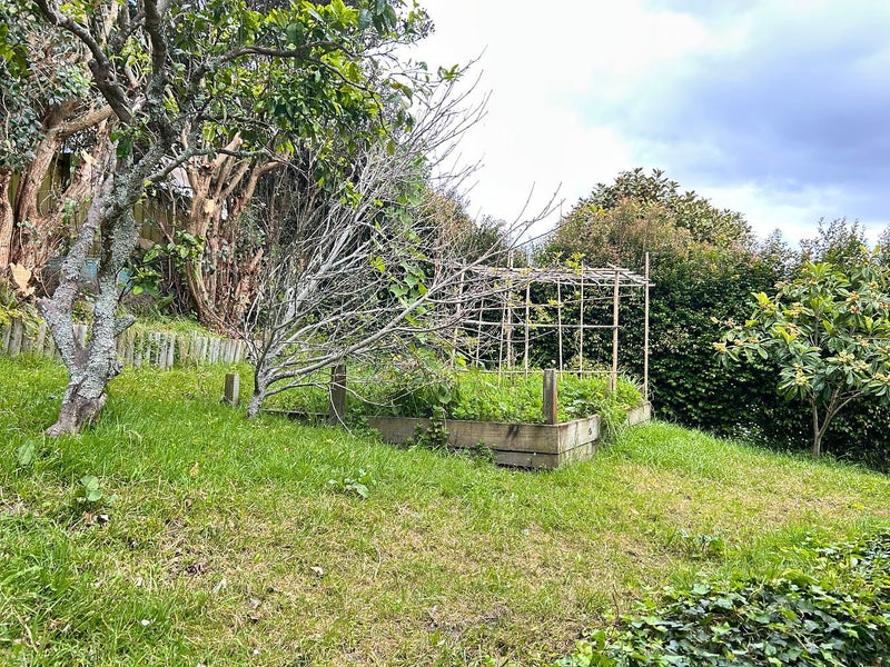 21 Shanaway Rise, Hillcrest, Auckland - Carousel 27
