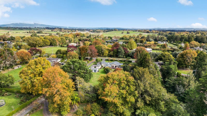 99 Newell Road, Tamahere - Carousel 33