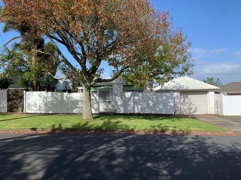 1A Ngatiawa Street, One Tree Hill, Auckland - Carousel 25
