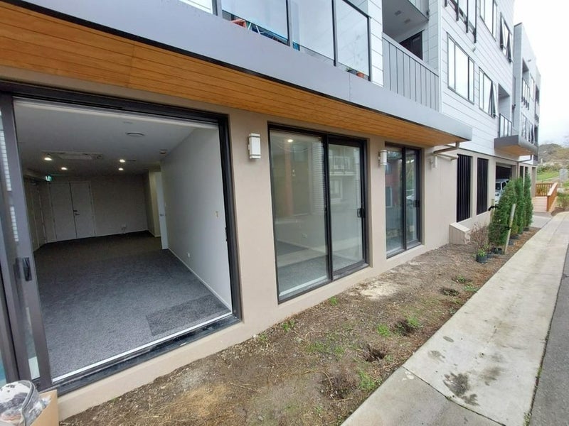 203/98 Haverstock Road, Sandringham, Auckland - Carousel 8