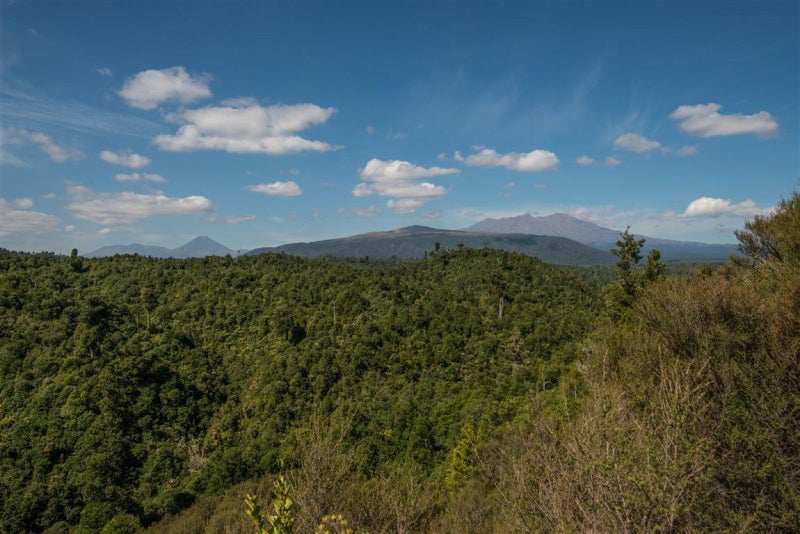 550E Cuff Road, Erua - Carousel 38