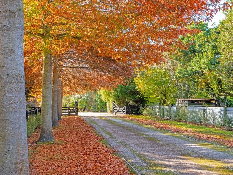 106 Mill Road, Clarkville - Carousel 38