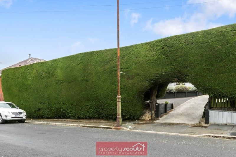 36 Carnarvon Street, Belleknowes, Dunedin - Carousel 12