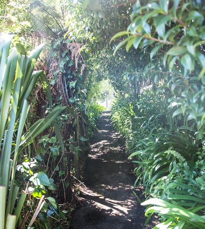 176 Frankley Road, Frankleigh Park, New Plymouth - Carousel 16