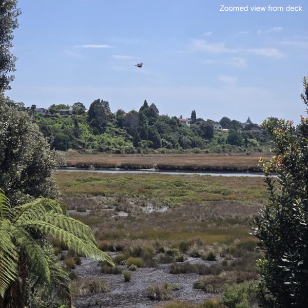 186 Windermere Drive, Poike, Tauranga - Carousel 11