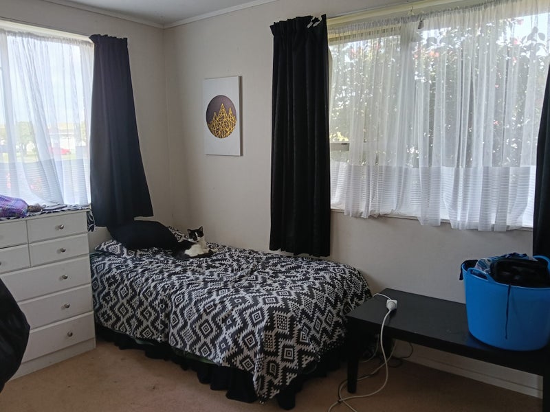 29 Hackett Street, Whanganui East, Whanganui - Carousel 7