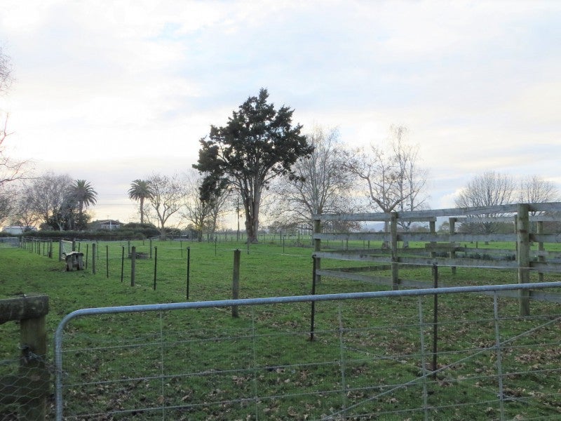 4178 State Highway 26, Waihou, Te Aroha - Carousel 14