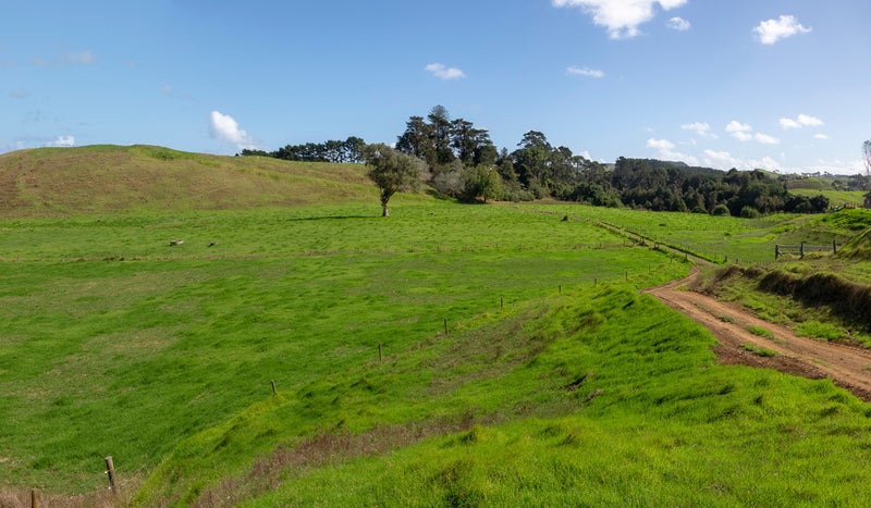 41 McNaughten Road, Karioitahi, Waiuku - Carousel 2