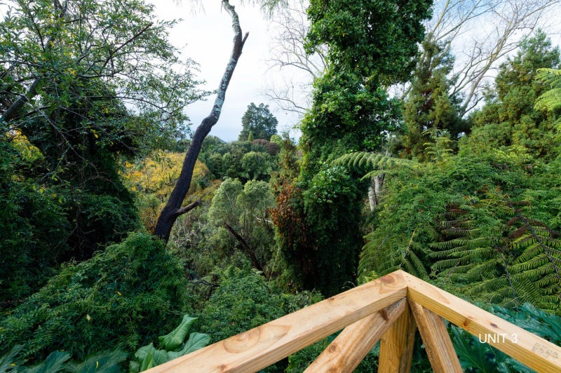 326 Hukanui Road, Queenwood, Hamilton - Carousel 2