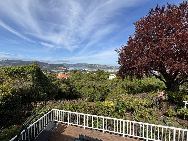 30 Tweed Street, Roslyn, Dunedin - Carousel 22