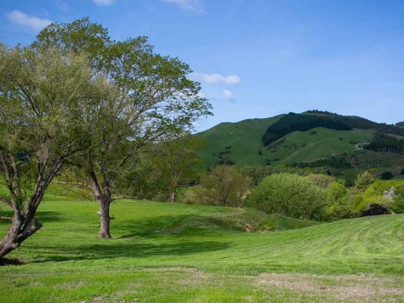 0 , Tauwhare - Carousel 2