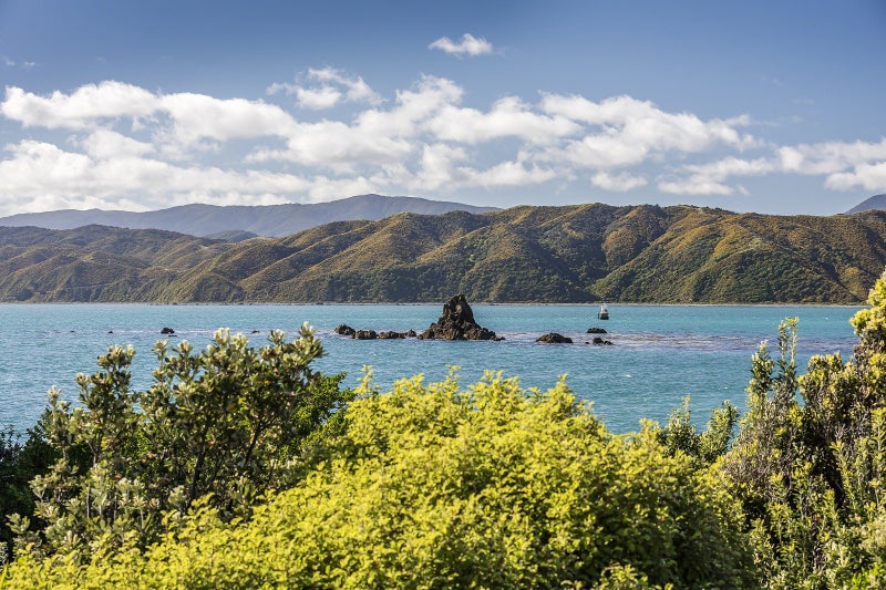 33 Boardwalk Lane, Seatoun, Wellington - Carousel 2