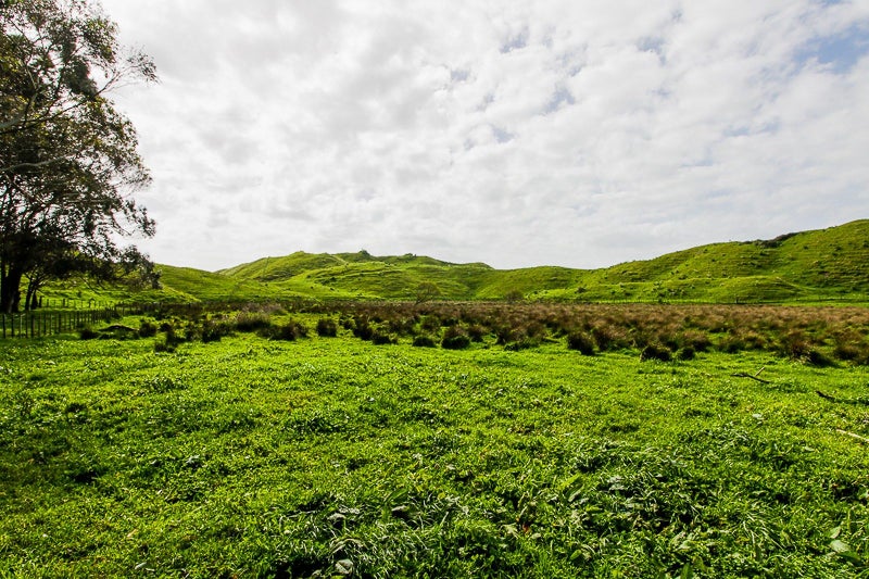 616 Frederick Street West, Mahora, Hastings - Carousel 1