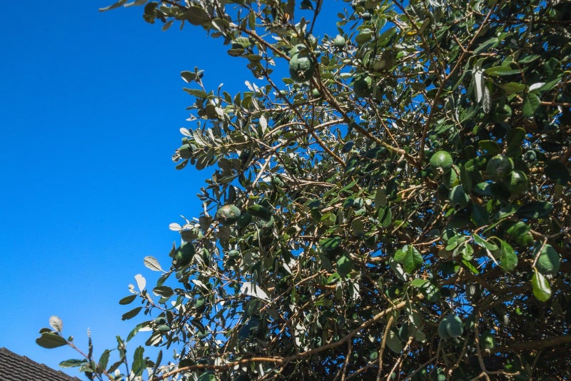 49 Shakespeare Avenue, Trentham, Upper Hutt - Carousel 22