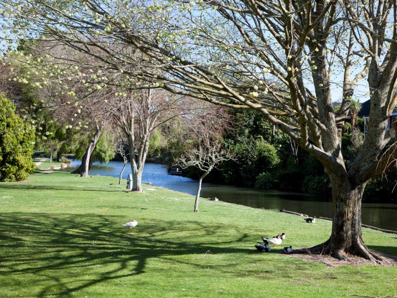26 Centennial Drive, Hokowhitu, Palmerston North - Carousel 1