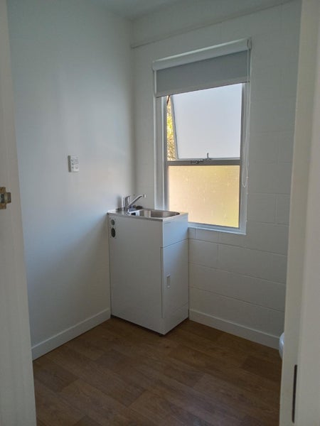 1/10 Don Croot Street, Western Springs, Auckland - Carousel 21