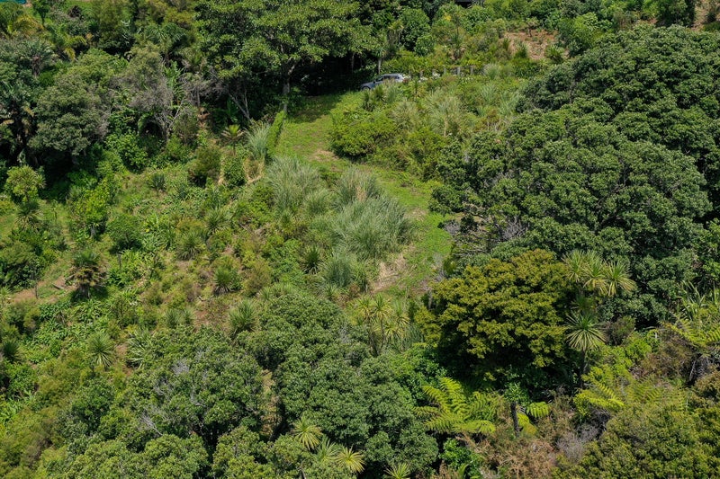 45A Dolphin Place, Whangarei - Carousel 11