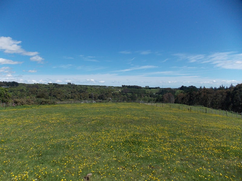 349 Turitea Road, Turitea, Palmerston North - Carousel 21