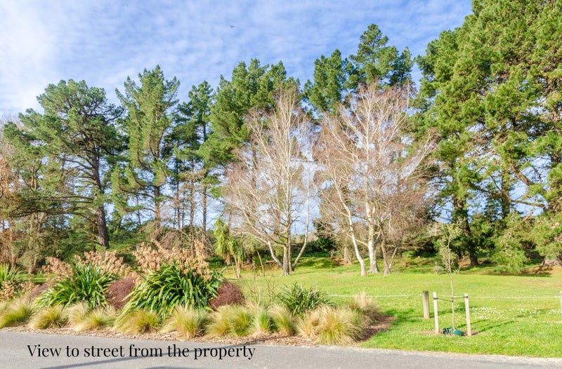 26 Ferry Road, Kaiapoi - Carousel 19