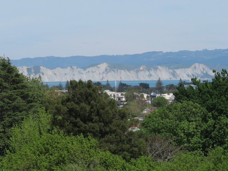 6 Adams Road, Whataupoko, Gisborne - Carousel 24