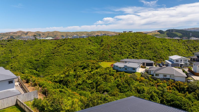 12 Trelawny Terrace, Grenada Village, Wellington - Carousel 24