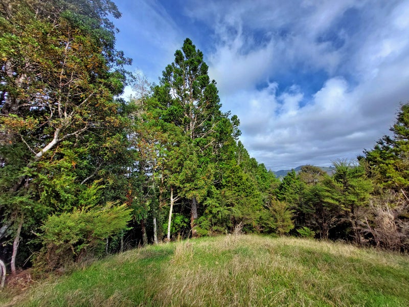 0 Tapuhi Road, Hukerenui, Hikurangi - Carousel 2