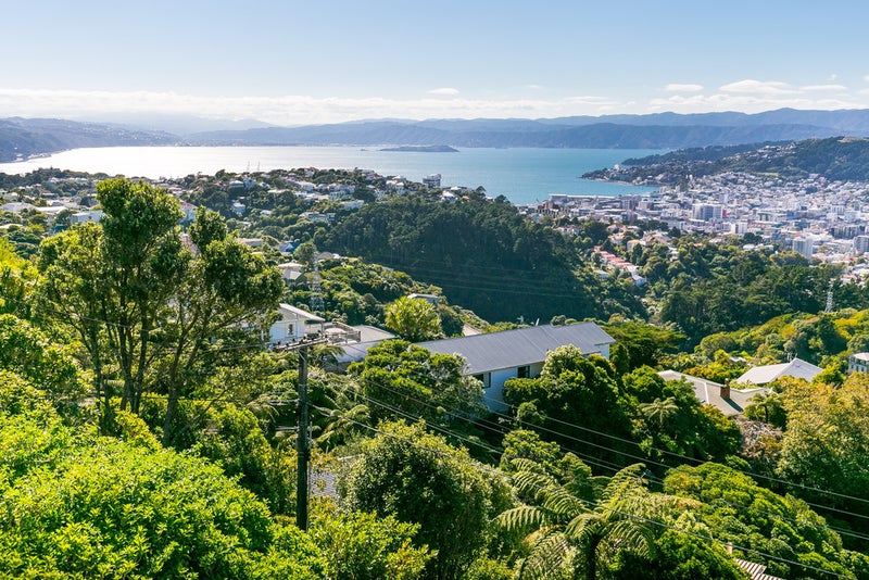 18 Highbury Crescent, Highbury, Wellington - Carousel 2