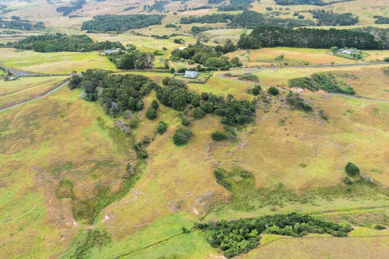 225 J Renall Road, Waiuku - Carousel 25