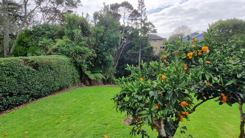 186 Mount Albert Road, Sandringham, Auckland - Carousel 12