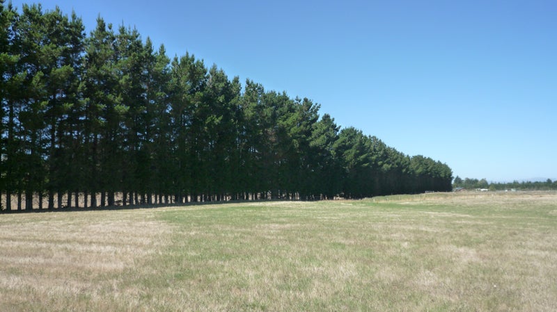 146 Mckays Road, Christchurch - Carousel 2