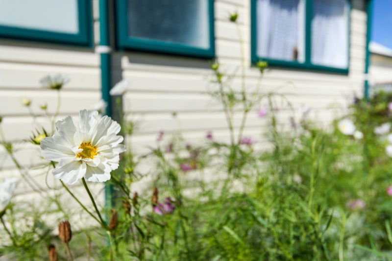 2 Escort Grove, Awapuni, Palmerston North - Carousel 43