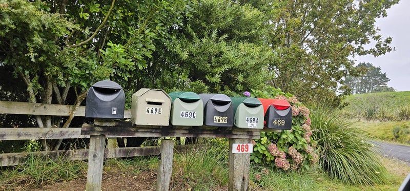 469A Minden Road, Minden, Tauranga - Carousel 37