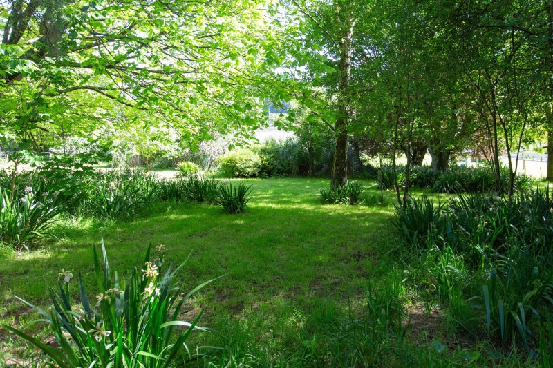 0 Norsewood Ormondville Rd, Norsewood - Carousel 1
