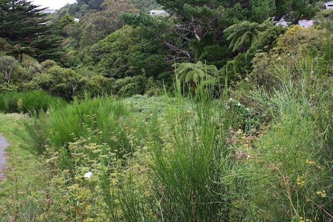 190 Miromiro Road, Normandale, Lower Hutt - Carousel 2