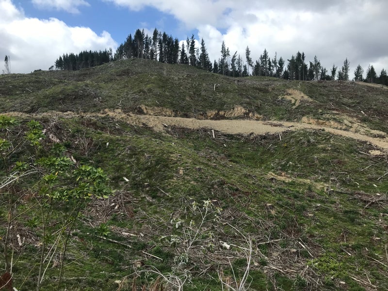 0 Ngahape Road, Otorohanga - Carousel 1