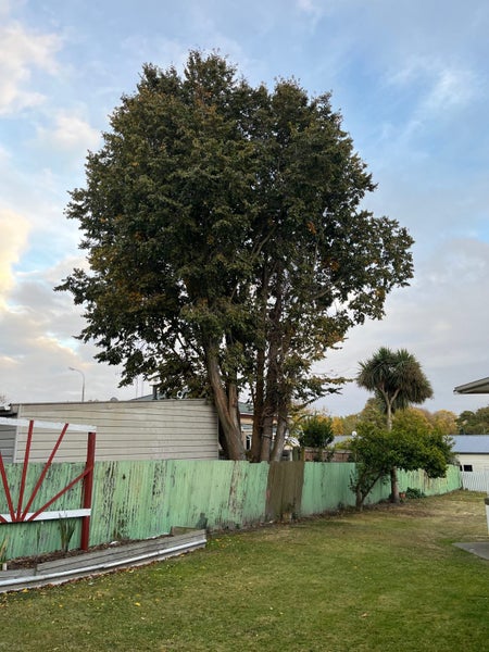 22A Craigie Avenue, Parkside, Timaru - Carousel 2