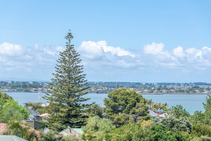 5B Viewland Avenue, Onehunga, Auckland - Carousel 1