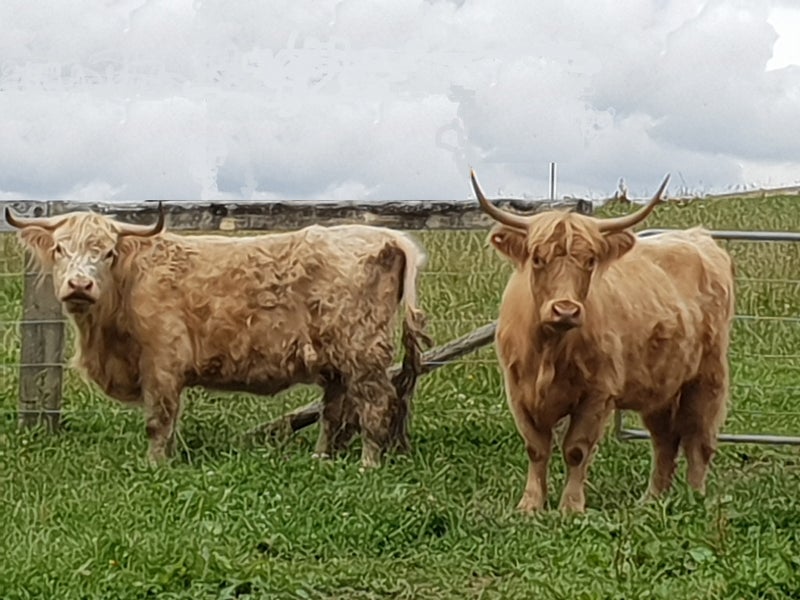 114 Aka Aka Road, Puni, Pukekohe - Carousel 1