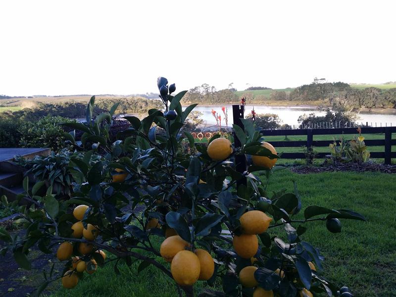 85 Boyd Road, Pukekohe - Carousel 2