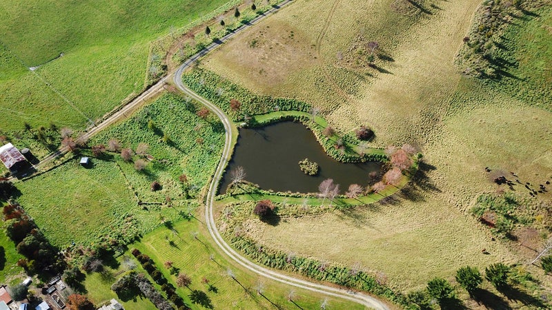 348 Pomona Road, Ruby Bay, Mapua - Carousel 6