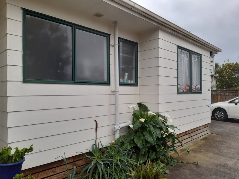 55B Tripoli Road, Panmure, Auckland - Carousel 2