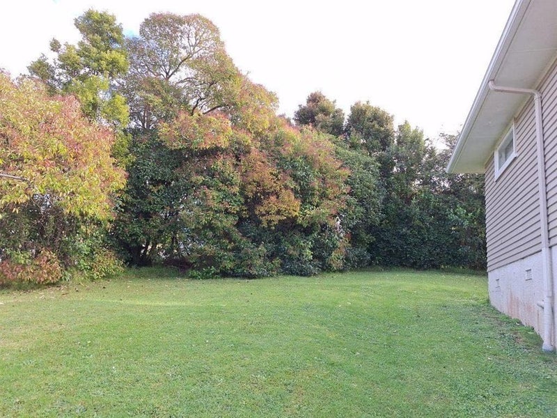 1/32A Ambler Avenue, Glen Eden, Auckland - Carousel 11