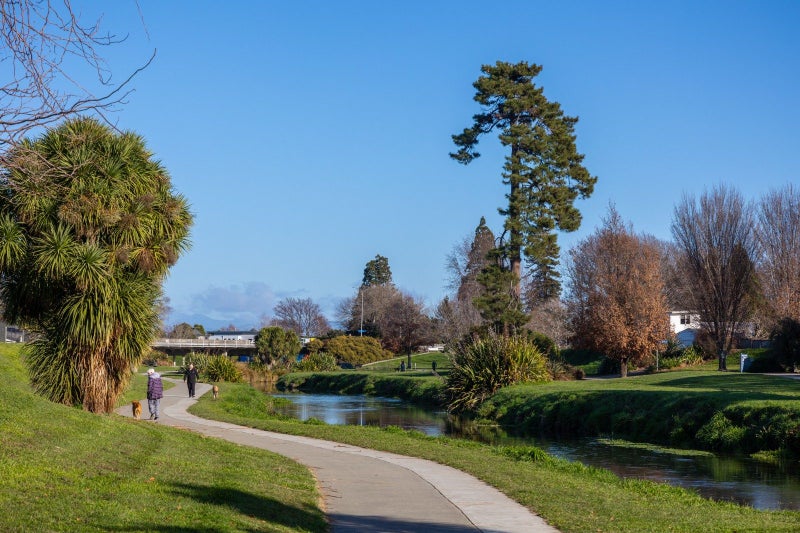 118 Alfred Street, Blenheim - Carousel 36